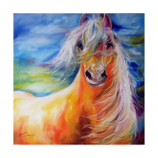 Marcia Baldwin 'Bright Day Equine' Canvas Art, 35x35, Trademark Fine Art, Mfr#: ALI34611-C3535GG